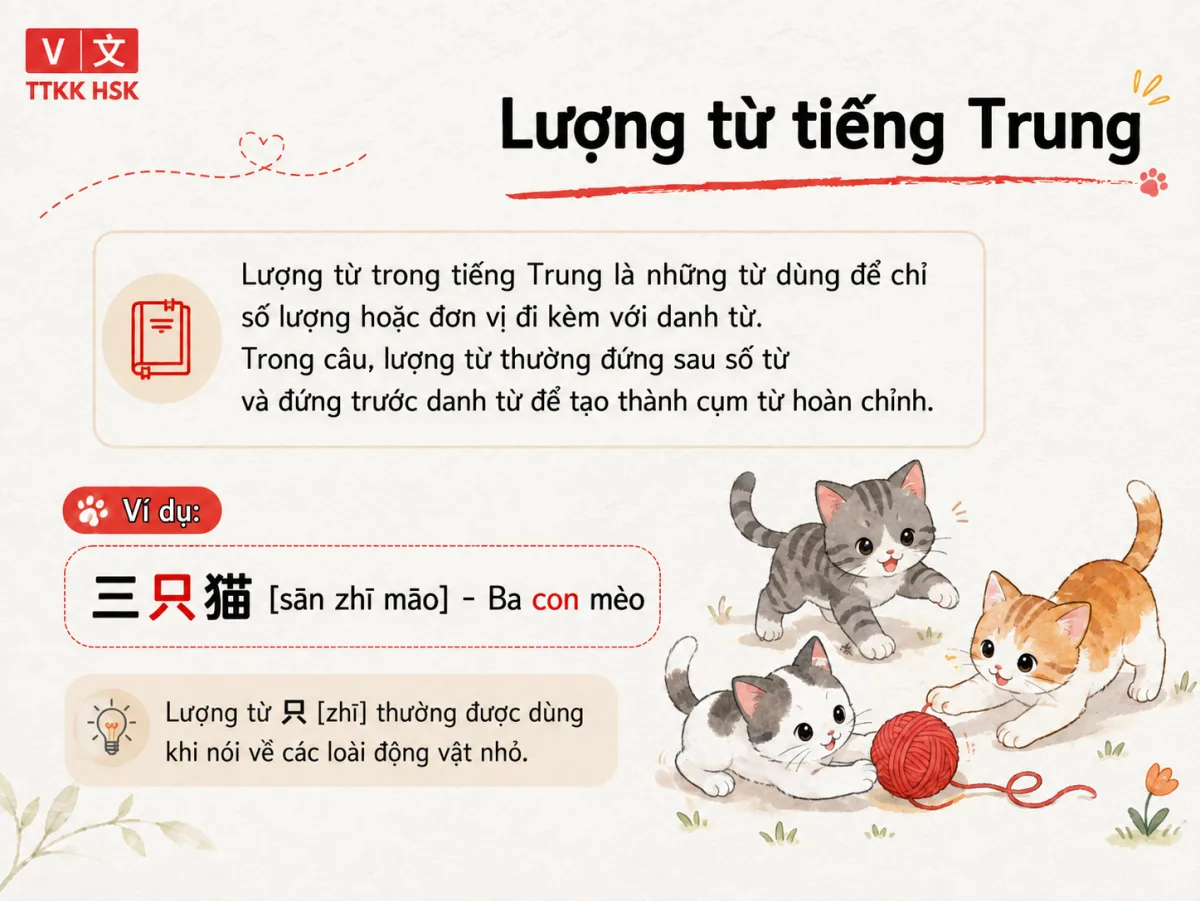 Lượng từ trong tiếng Trung là gì?