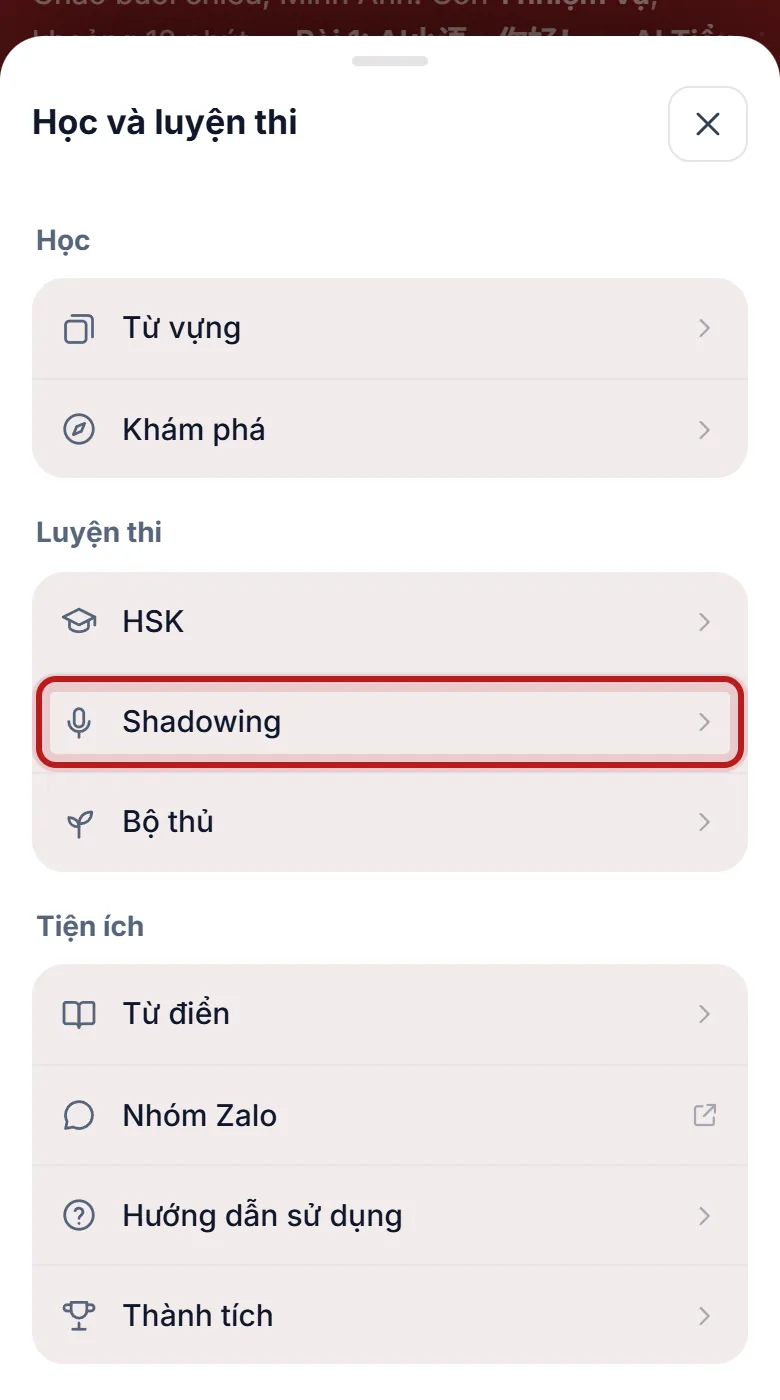 Mục Shadowing trong danh sách Học được khoanh