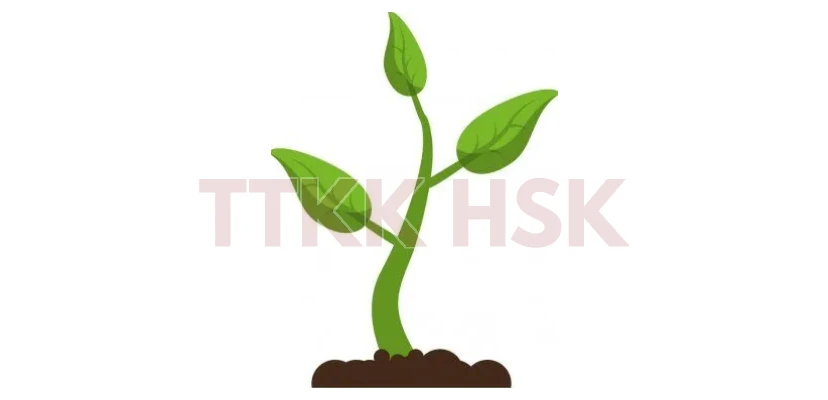 Hình minh họa bộ Triệt